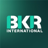 bkr_international_logo